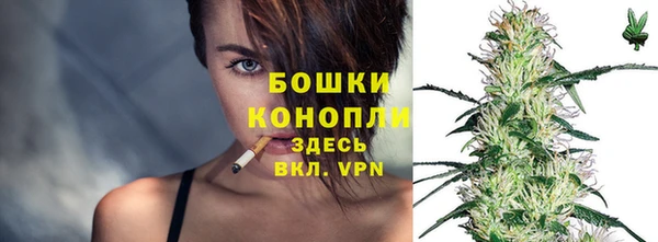 твердый Аркадак