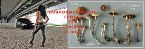 твердый Аркадак