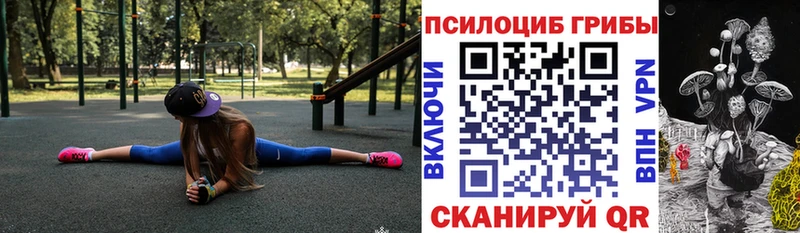 как найти наркотики  darknet Telegram  Псилоцибиновые грибы GOLDEN TEACHER  Унеча 